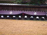 春合宿写真サムネイル