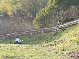春合宿写真サムネイル