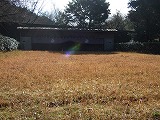 春合宿写真サムネイル