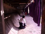 春合宿写真サムネイル