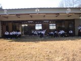春合宿写真サムネイル