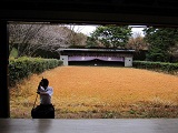 春合宿写真サムネイル