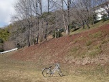 春合宿写真サムネイル